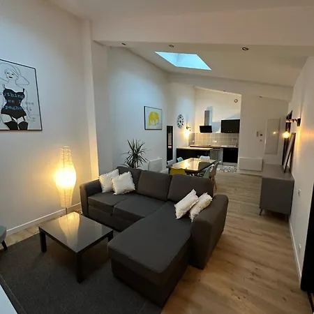 Champagne - Le Duplex - Le Loft - L'atelier - Le Cosy * Épernay