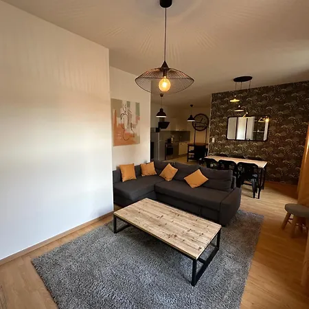 Apartment Champagne - Le Duplex - Le Loft - L'atelier - Le Cosy *