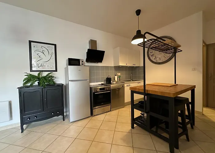 Champagne - Le Duplex - Le Loft - L'atelier - Le Cosy Daire Épernay